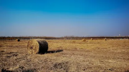 Casino Adrenaline Aplicación móvil